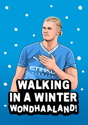 Walking in a Winter Wondhaaland Spoof Christmas Card