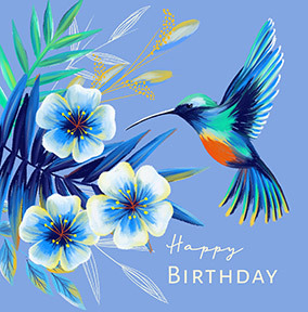 Birthday Hummingbird Card