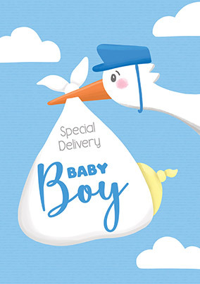 Stork New Baby Boy Card