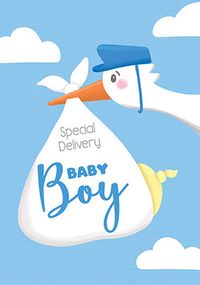 Tap to view Stork New Baby Boy Card