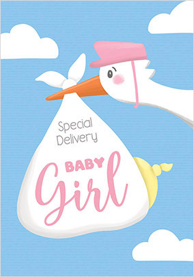 Baby Girl Delivery Card