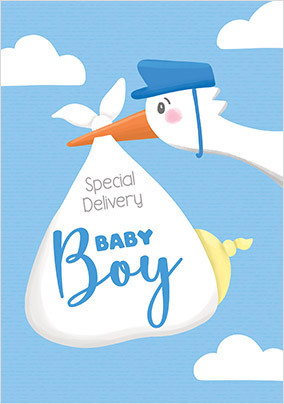 Baby Boy Delivery Card