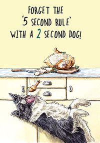 2 Second Dog Rule Birthday Card