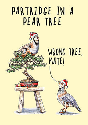Wrong Tree Christmas Card