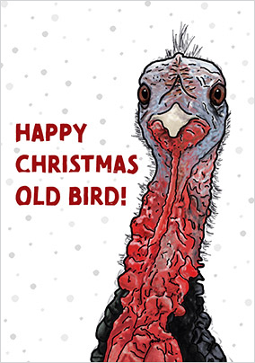Old Bird Christmas Card