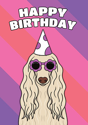 Afghan Hound Birthday Card