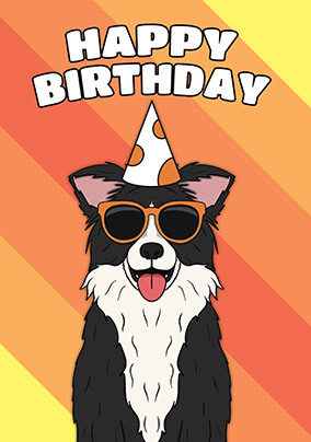 Boarder Collie Birthday Card