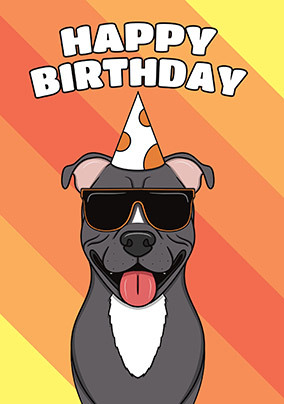 Staffordshire Bull Terrier Birthday Card