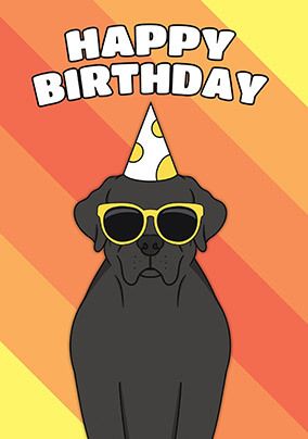 Birthday Black Labrador Card
