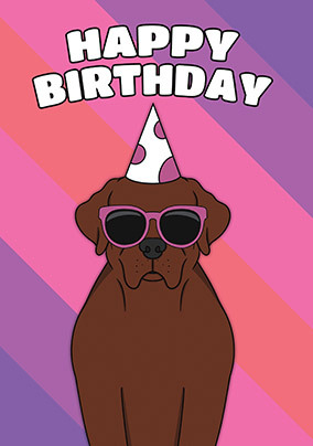 Chocolate Labrador Birthday Card