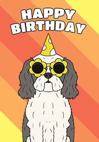 Tap to view Shih Tzu Birthday Card