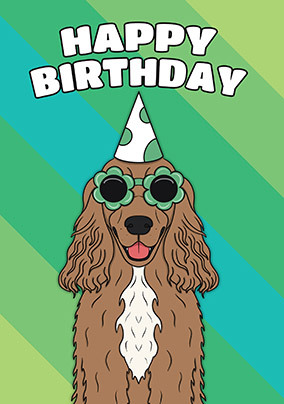 Cocker Spaniel Birthday Card