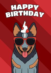 Tap to view Blue Heeler Birthday Card