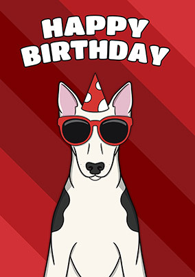 Bull Terrier Birthday Card