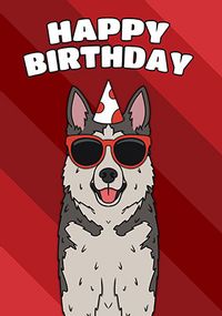 Husky Birthday Card