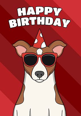 Jack Russell Terrier Birthday Card
