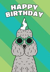 Poodle Birthday Card