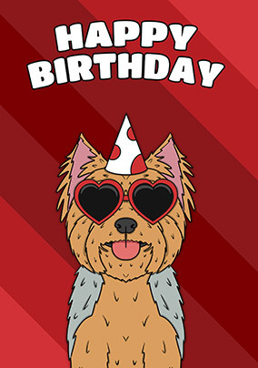 Yorkshire Terrier Birthday Card