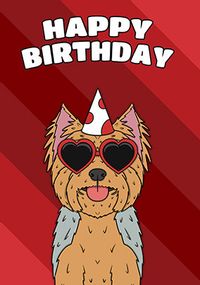 Tap to view Yorkshire Terrier Birthday Card