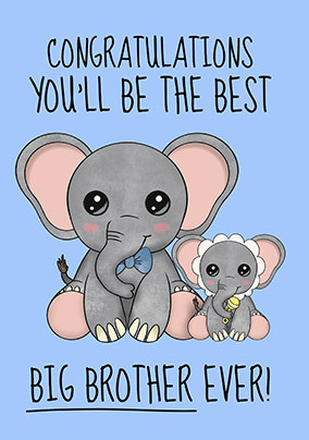 Big Brother Cute Elephant New Baby Card