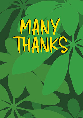Many Thanks Leaves Card