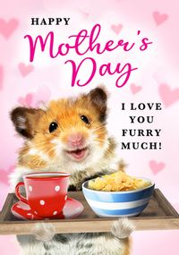Love you Furry Much Mother's Day Card