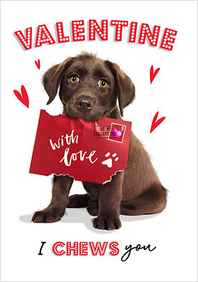 I Chews You Cute Dog Valentine's Day Card