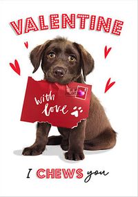 Tap to view I Chews You Cute Dog Valentine's Day Card