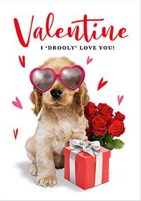 Tap to view Drooly Love You Valentine's Day Card