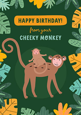 From your Cheeky Monkeys Birthday Card