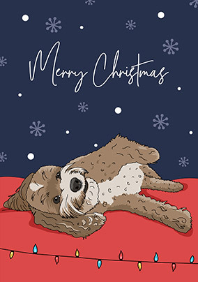 Cockapoo Christmas Card