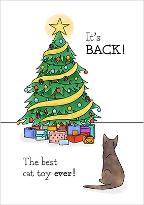 Best Cat Toy Ever Christmas Card