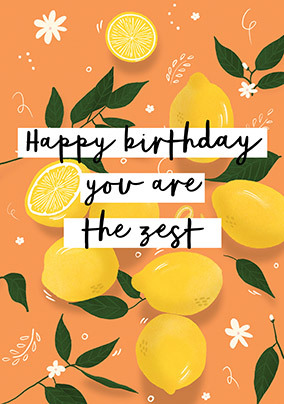 Simply the Zest Birthday Card