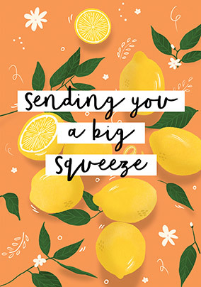 Sending You a Big Squeeze Card