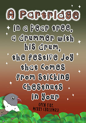 A Partridge Cheeky Christmas Card