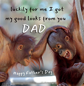 Good Looks From Dad Father's Day Card