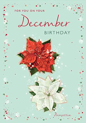 December Birthday Card