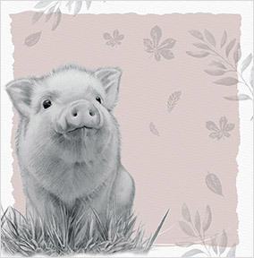 Pig Birthday Card