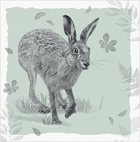 Hare Birthday Card