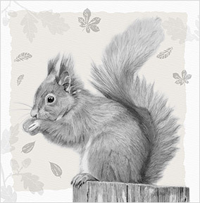 Traditional Squirrel Card