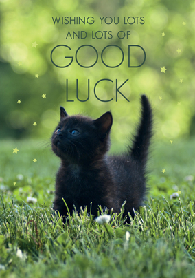 Good Luck Kitten Card