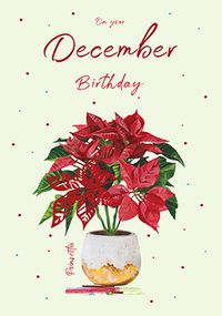 Poinsettia December Birthday Card