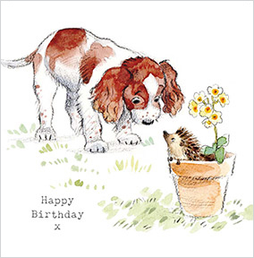 Birthday Spaniel Cute Card