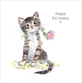 Cute Tabby Kitten and Rose Birthday Card