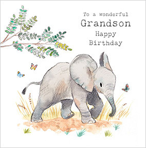Elephant Grandson Birthday Card
