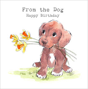From the Dog Cute Traditional Birthday Card