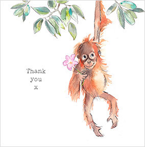 Orangutan Baby Thank You Card