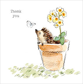 Hedgehog Thank You Card