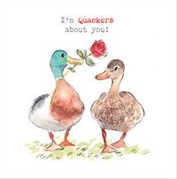 Quackers About You Valentine's Day Card