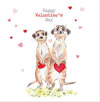 Meerkats Valentine' Day Card